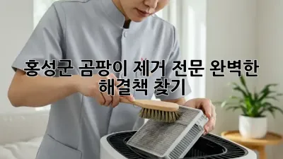 홍성군 곰팡이 제거 전문: 완벽한 해결책 찾기